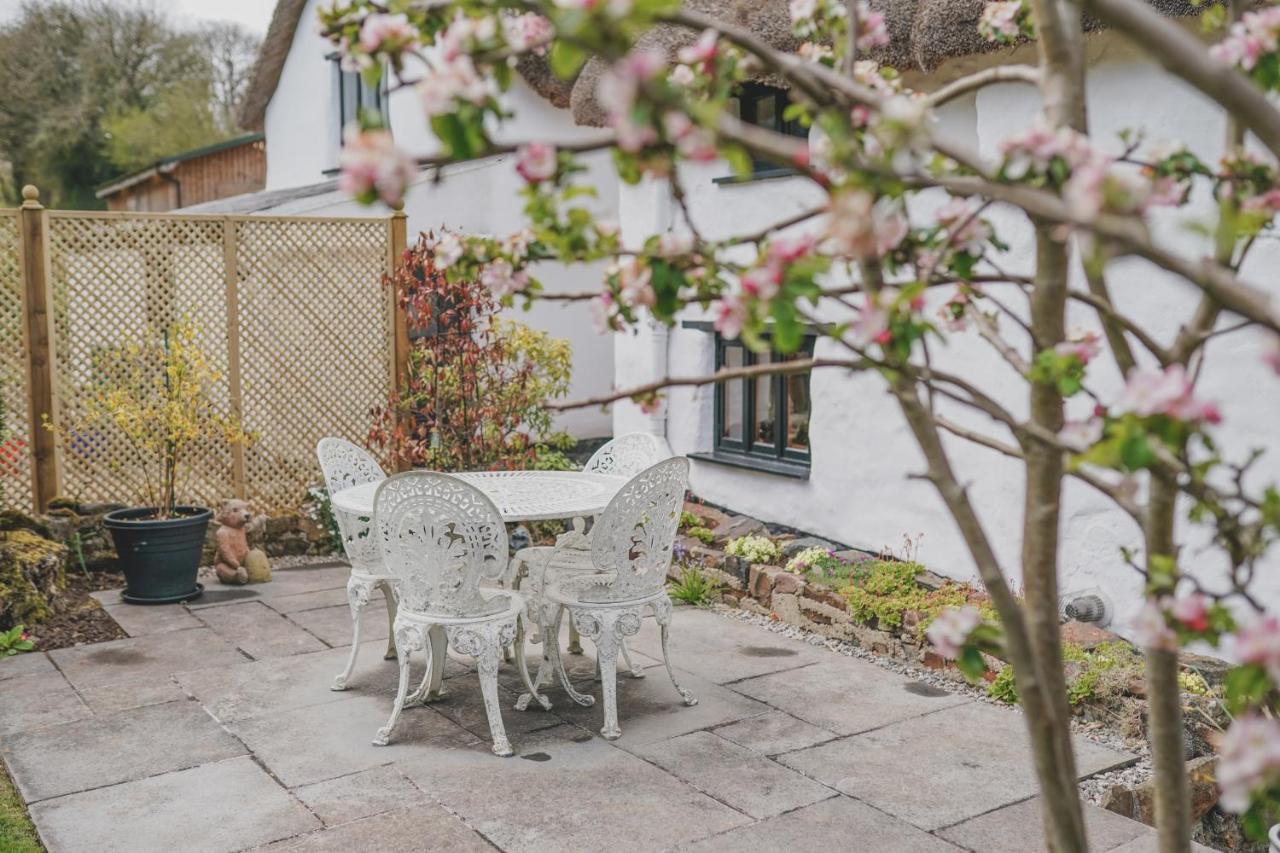 'The Cottage' Okehampton Exterior foto