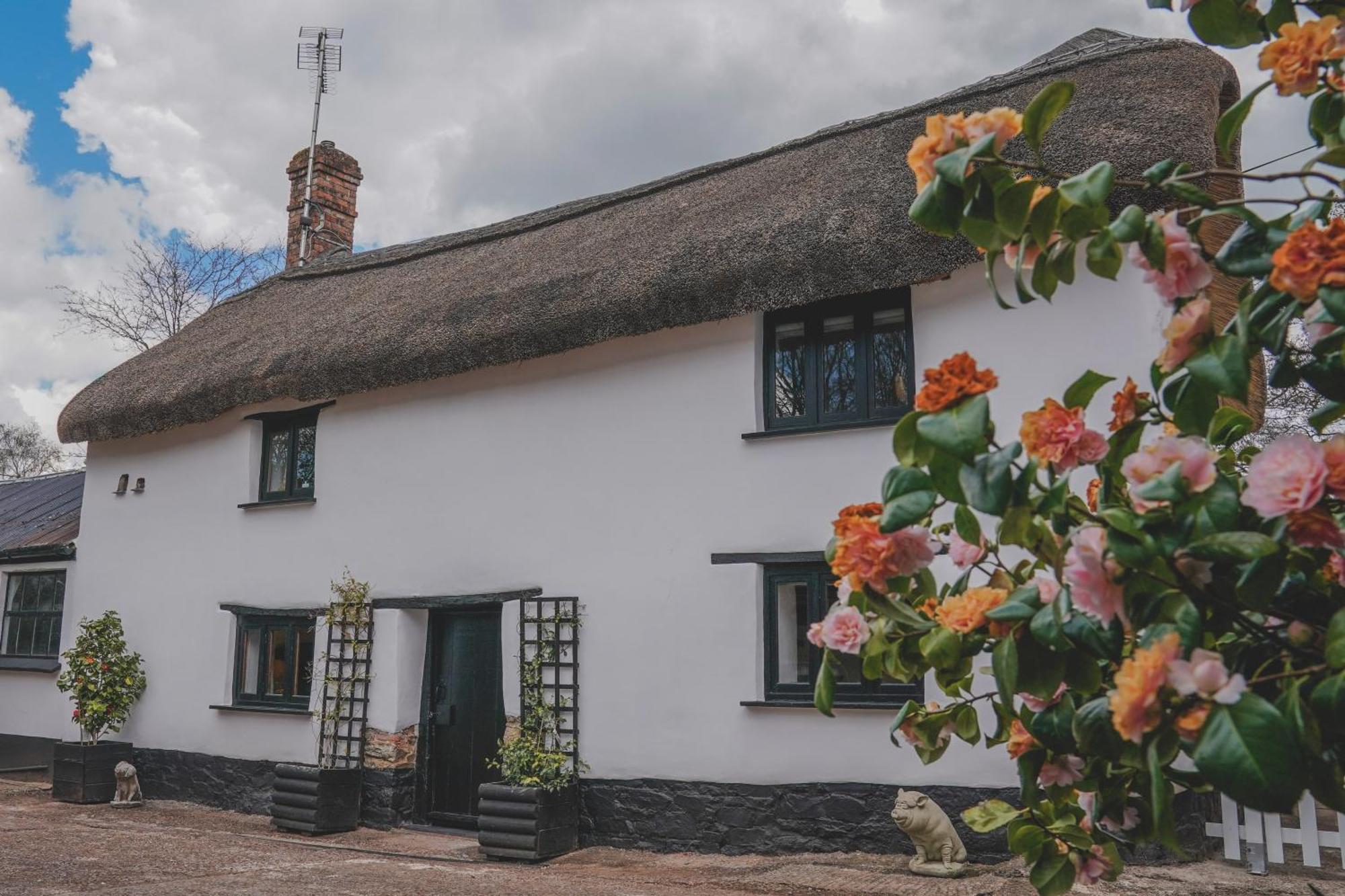 'The Cottage' Okehampton Exterior foto